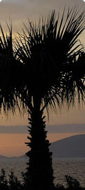 Urlaub Kos pauschal buchen mit Flug & Hotel Tipps