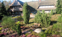 Hotel in der Lüneburger Heide buchen