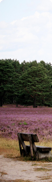 Urlaub in der Lüneburger Heide