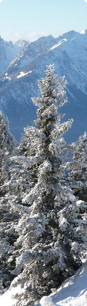 Ulaubsparadies Allgäu Sommer wie Winter