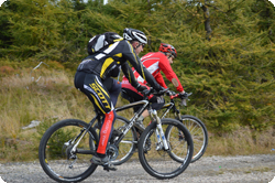 Urlaub für Biker in Bad Schandau