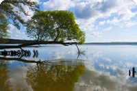 Urlaub in Neubrandenburg