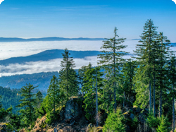 Urlaub mit Bus Bayerischer Wald
