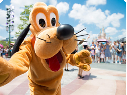 mit dem Bus zum Disneyland®Paris 