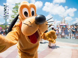 Busreisen nach Disneyland®Paris