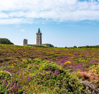 Wann ist die beste Reisezeit für einen Busurlaub in der Bretagne