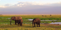 Abenteuer- & Traumurlaub in Kenia