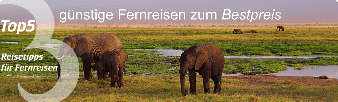 günstige Fernreisen weltweit zum besten Preis